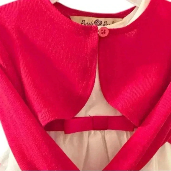 NWOT 18 mo Embroidered Christmas white and red Purple Rose dress. Dsct w bundle. - Picture 6 of 6